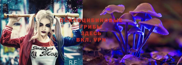 мяу мяу кристалл Аша